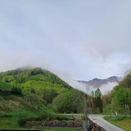 Wohnung Im Nationalpark Kalkalpen 3 Reichraming Екстер'єр фото