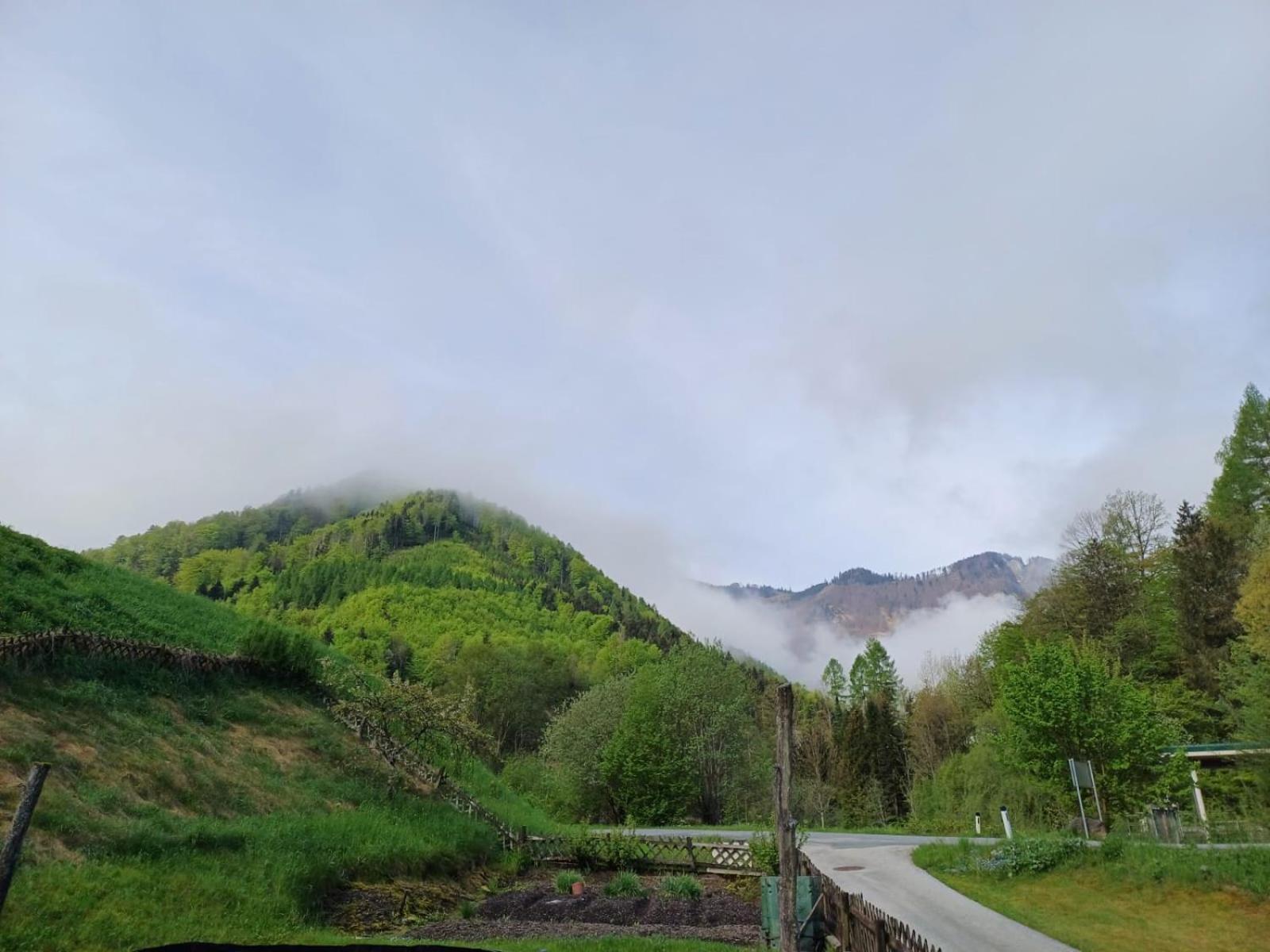 Wohnung Im Nationalpark Kalkalpen 3 Reichraming Екстер'єр фото