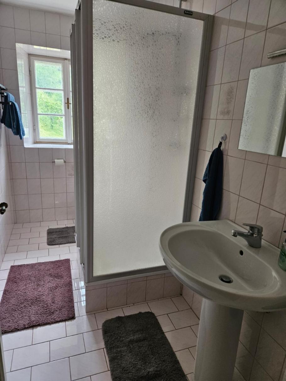 Wohnung Im Nationalpark Kalkalpen 3 Reichraming Екстер'єр фото