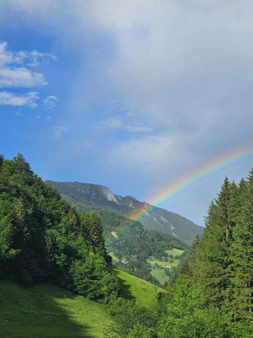 Wohnung Im Nationalpark Kalkalpen 3 Reichraming Екстер'єр фото